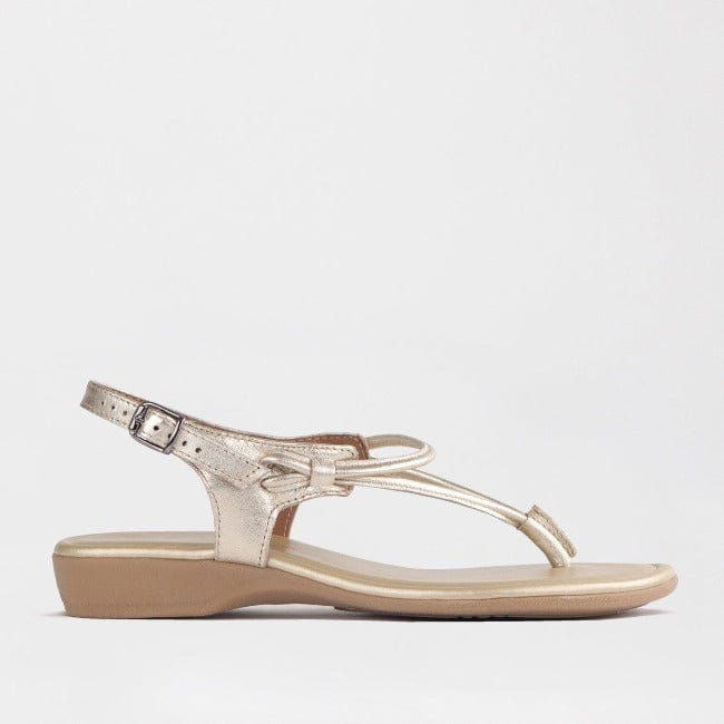Froggie Shoes Shoes 3 / Gold / 10732 Women&