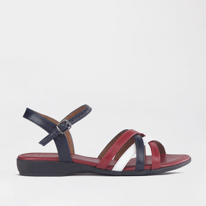 Froggie Shoes Shoes 3 / Navy Multi / 13062 Strappy Flat Sandal