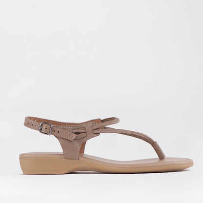 Froggie Shoes Shoes 3 / Stone / 10732 Women&
