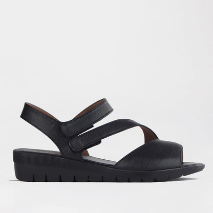 Froggie Shoes Shoes 4 / Black / 12538 Froggie Women’s Sandal- Velcro- Black Leather- 12538