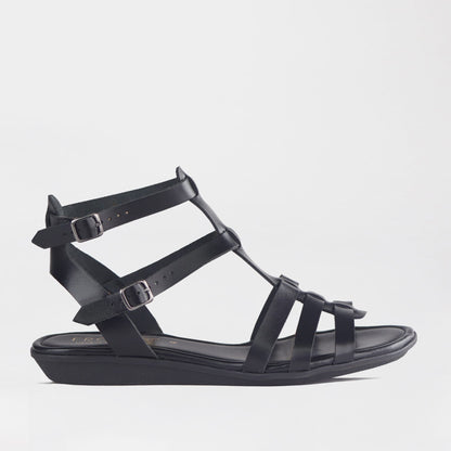 Froggie Shoes Shoes 4 / Black / 13135 Gladiator Sandal