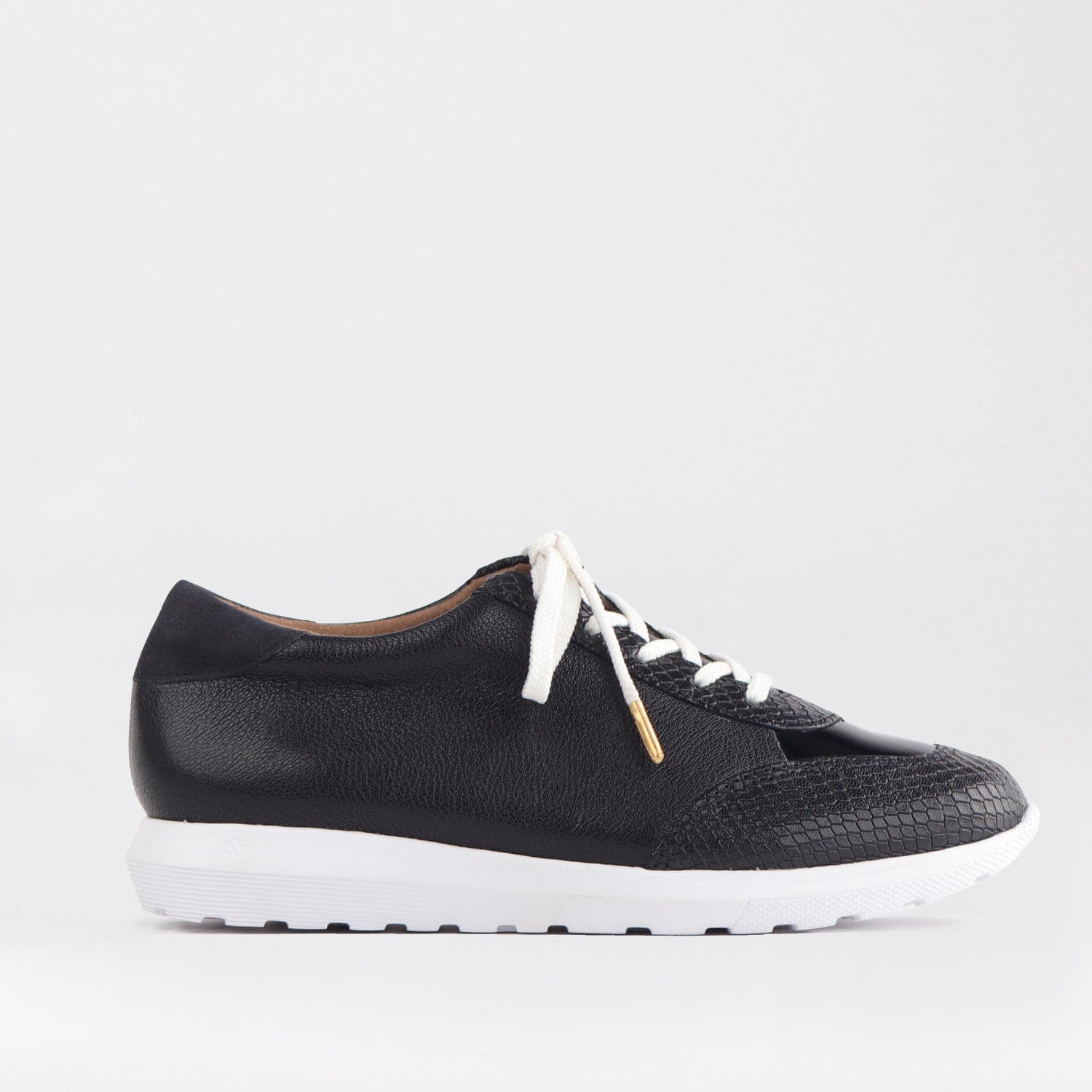 Froggie Shoes Shoes 4 / Black Multi / 12594 Lace-up Sneaker in Black Multi - 12594