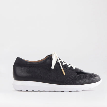 Froggie Shoes Shoes 4 / Black Multi / 12594 Lace-up Sneaker in Black Multi - 12594