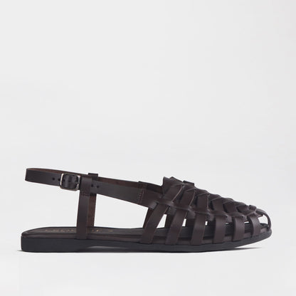 Froggie Shoes Shoes 4 / Brown / 13137 Strappy Fisherman Sandal