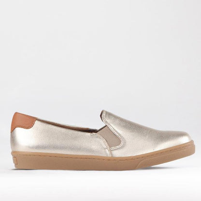 Froggie Shoes Shoes 4 / Gold Multi / 12750 Slip-on Sneaker with Removable Footbed in Gold Multi - 12750