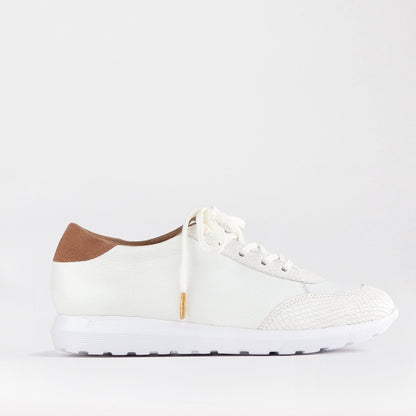 Froggie Shoes Shoes 4 / White Multi / 12594 Lace-up Sneaker in White - 12594
