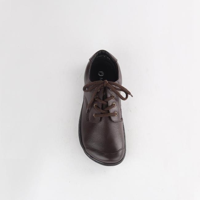 Froggie Shoes Shoes Boys Lace-up School Shoe in Brown Sizes 28-33 - 7823