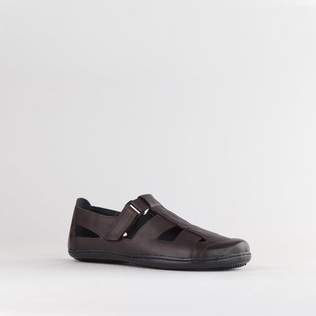 Froggie Shoes Shoes Boys School Sandal  in Brown Sizes  28 -33 - 7816