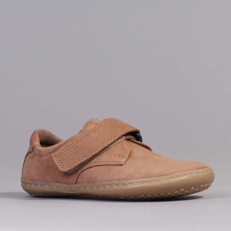 Froggie Shoes Shoes Boys Velcro Shoes with Removable Footbed in Tobacco - 12628