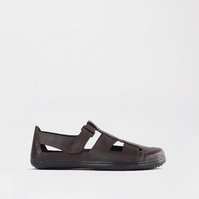 Froggie Shoes Shoes C28 / Brown / 7816 Boys School Sandal  in Brown Sizes  28 -33 - 7816