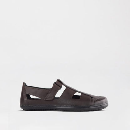 Froggie Shoes Shoes C28 / Brown / 7816 Boys School Sandal  in Brown Sizes  28 -33 - 7816