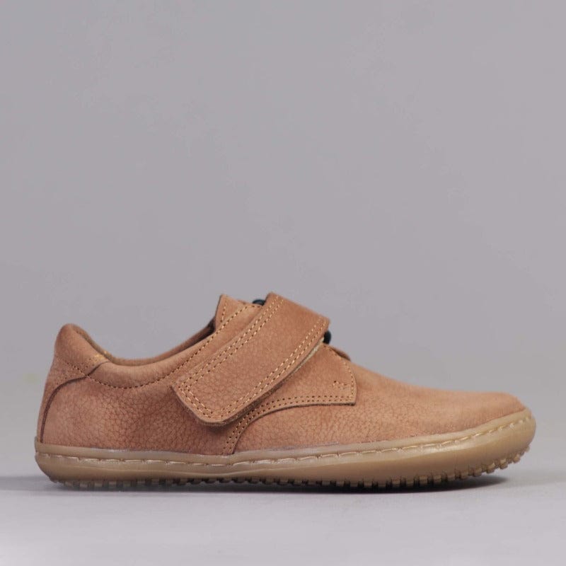 Froggie Shoes Shoes C28 / Tobacco / 12628 Boys Velcro Shoes with Removable Footbed in Tobacco - 12628