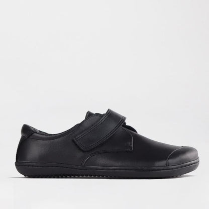 Froggie Shoes Shoes C34 / Black / 7814 Boys Velcro School Shoe in Black Sizes 34-38 - 7814
