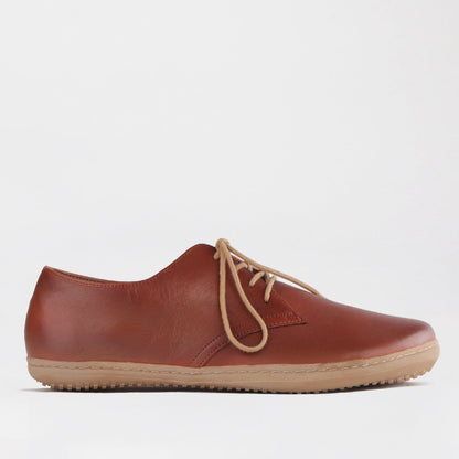 Froggie Shoes Shoes C39 / Black / 12403 Men&