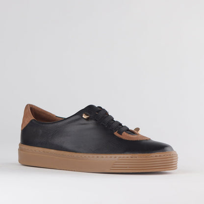 Froggie Shoes Shoes Elasticated lace-up Sneaker with Removable Footbed in Black/Tobacco - 12843