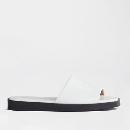 Froggie Shoes Shoes Froggie Women&