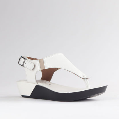 Froggie Shoes Shoes Froggie Women&