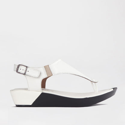Froggie Shoes Shoes Froggie Women&