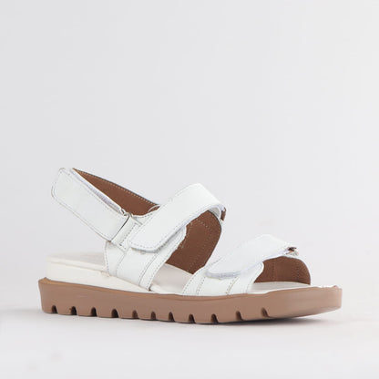 Froggie Shoes Shoes Froggie Women&