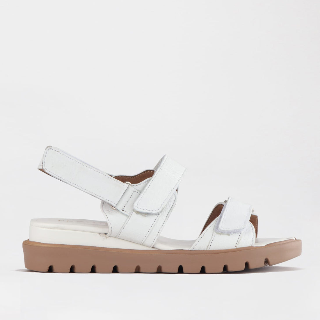Froggie Shoes Shoes Froggie Women&