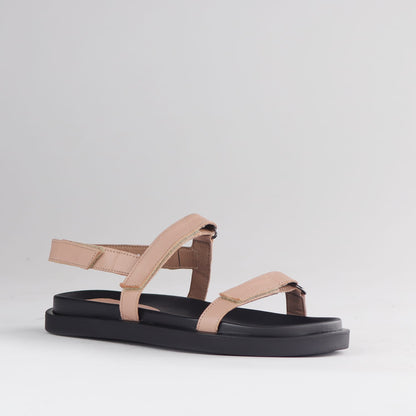 Froggie Shoes Shoes Froggie Women&