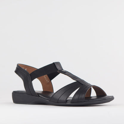 Froggie Shoes Shoes Froggie Women&