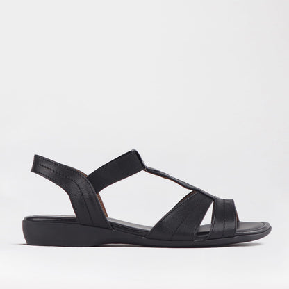 Froggie Shoes Shoes Froggie Women&