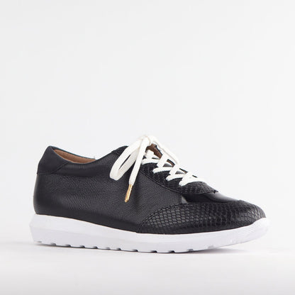Froggie Shoes Shoes Lace-up Sneaker in Black Multi - 12594