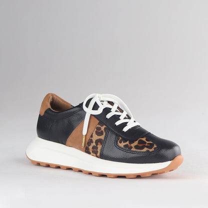 Froggie Shoes Shoes Lace-up Sneaker in Black Multi1 -12688