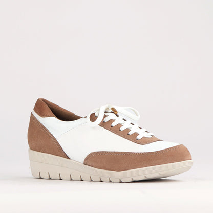 Froggie Shoes Shoes Lace-up Sneaker in Ice Multi - 12593