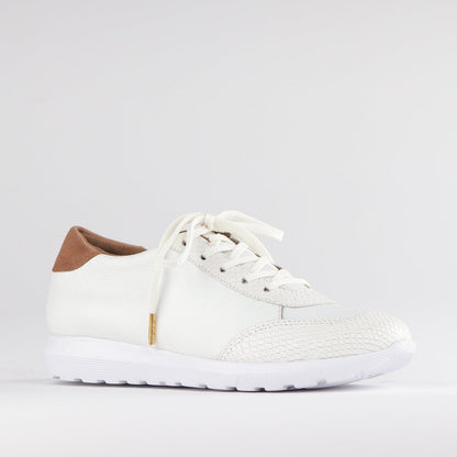 Froggie Shoes Shoes Lace-up Sneaker in White - 12594