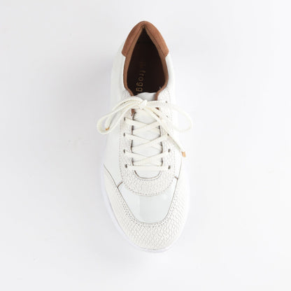 Froggie Shoes Shoes Lace-up Sneaker in White - 12594