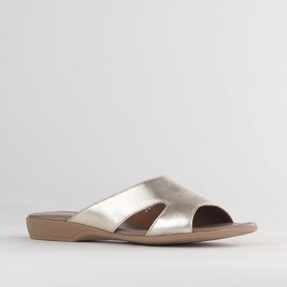 Froggie Shoes Shoes Mule Flat Sandal Gold- 12407