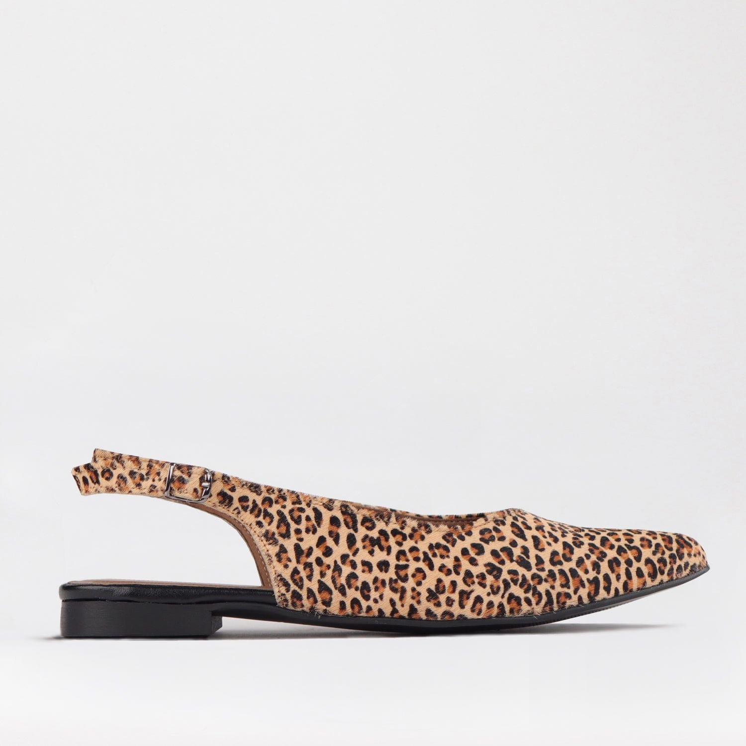 Froggie Shoes Shoes Pointed Flat Slingback in Cheetah Tan - 12729
