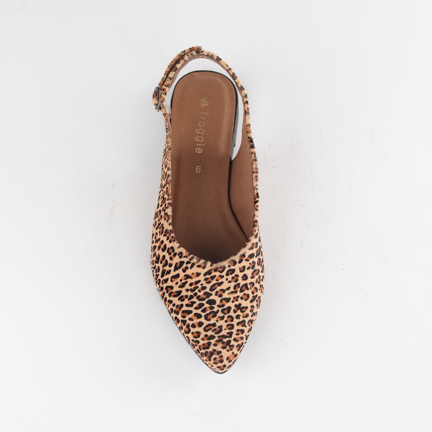 Froggie Shoes Shoes Pointed Flat Slingback in Cheetah Tan - 12729