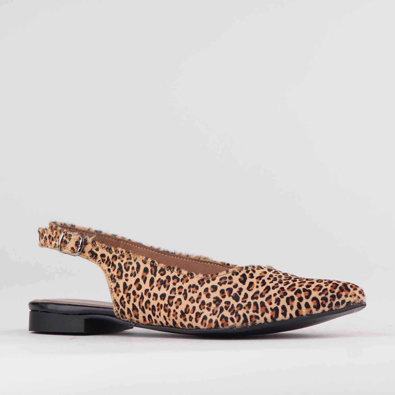Froggie Shoes Shoes Pointed Flat Slingback in Cheetah Tan - 12729