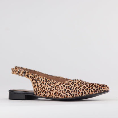 Froggie Shoes Shoes Pointed Flat Slingback in Cheetah Tan - 12729