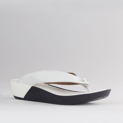 Froggie Shoes Shoes Rox Thong Sandal in White - 10737