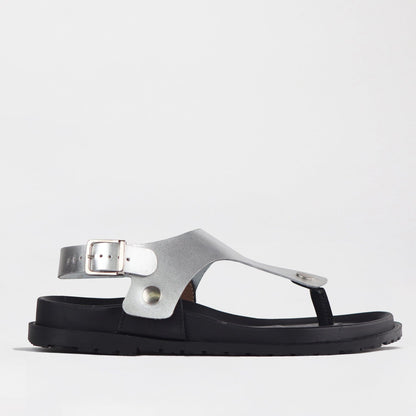 Froggie Shoes Shoes Sling back buckle in silver STRAP ONLY - 12717