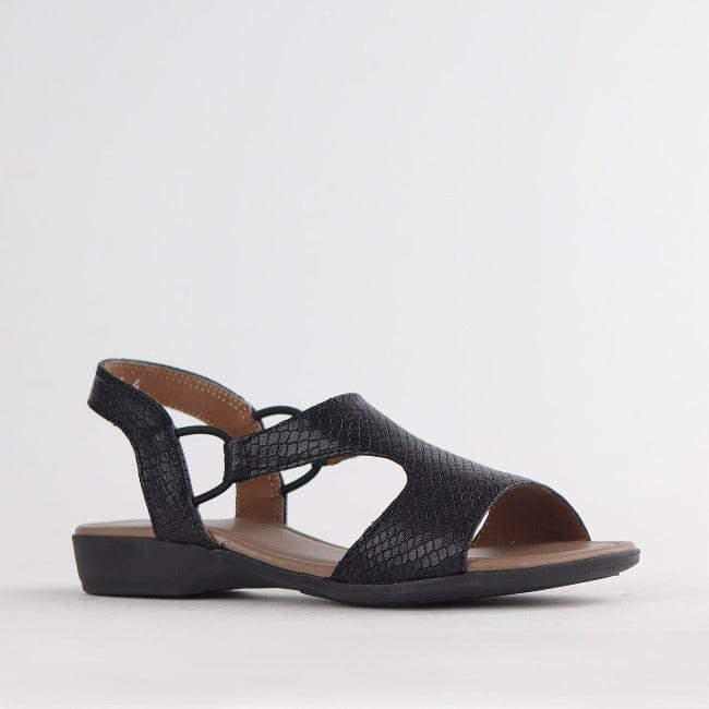 Froggie Shoes Shoes Slingback T-Bar Flat Sandal in Black Multi - 12104