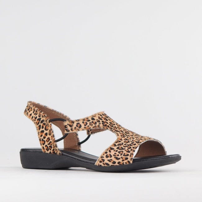 Froggie Shoes Shoes Slingback T-Bar Flat Sandal in Cheetah Tan - 12104
