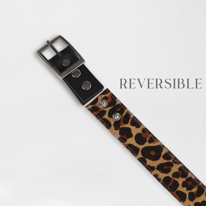 Froggie Shoes Shoes Women&