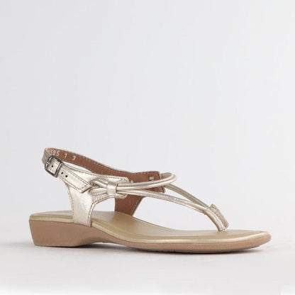 Froggie Shoes Shoes Women&
