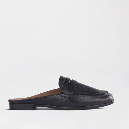 Froggie Shoes Women&