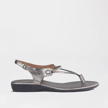  Froggie Women’s Spaghetti Thong Sandal- Pewter Leather- 13075