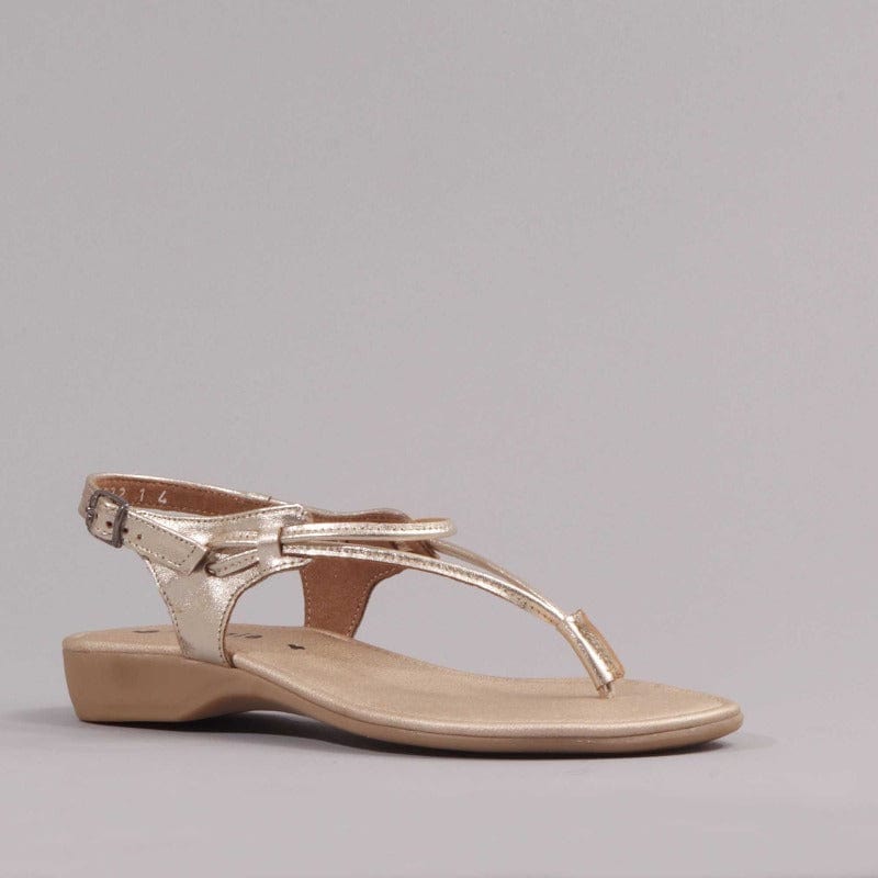 Spaghetti Strap Sandal in Gold