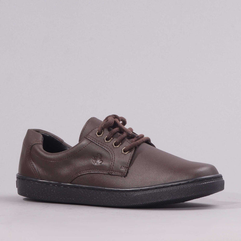 Boys Lace-up School Shoe in Brown