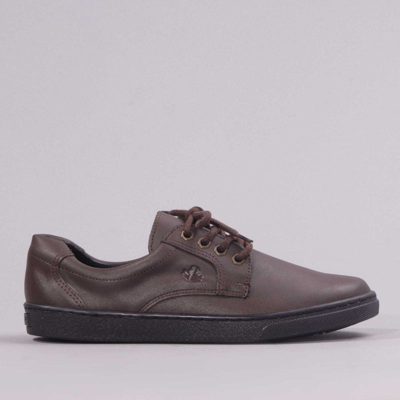 Boys Lace-up School Shoe in Brown