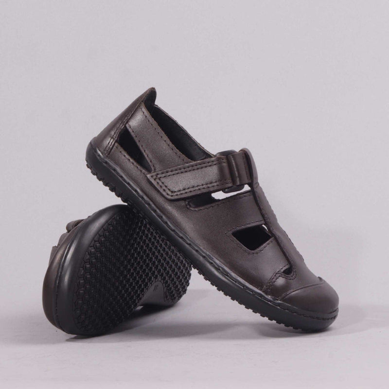 Boys School Sandal in Brown 