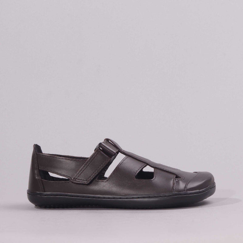 Boys School Sandal in Brown